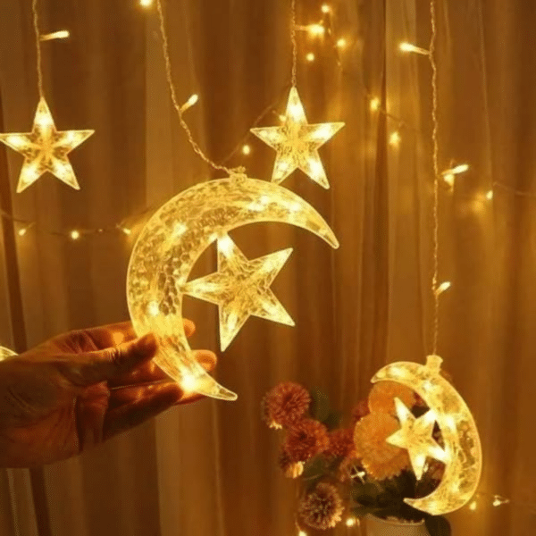 Guirlande lumineuse 3m – Modèle n° 701